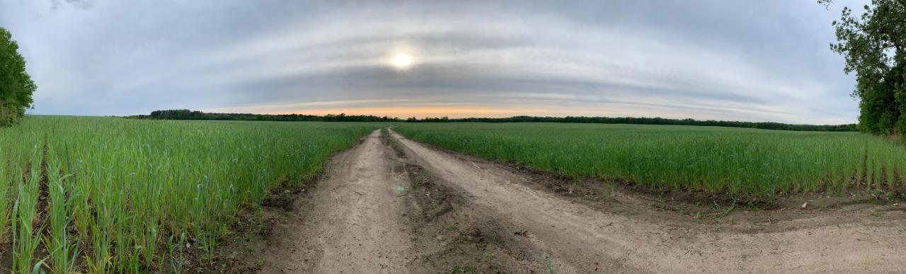 Dom Nad Jeziorem Gaja House Jadamowo Exterior foto